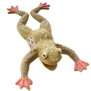 ANIMAL WOLRD Stretchy Frog 3